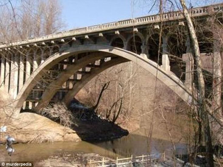 430EFA2E00000578-4769618-image-a-5_1502146631215