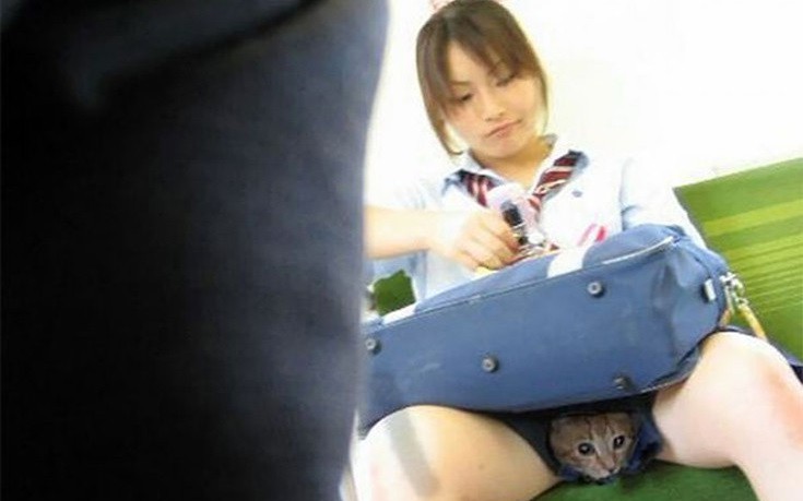 Κυκλοφορούν ανάμεσά μας