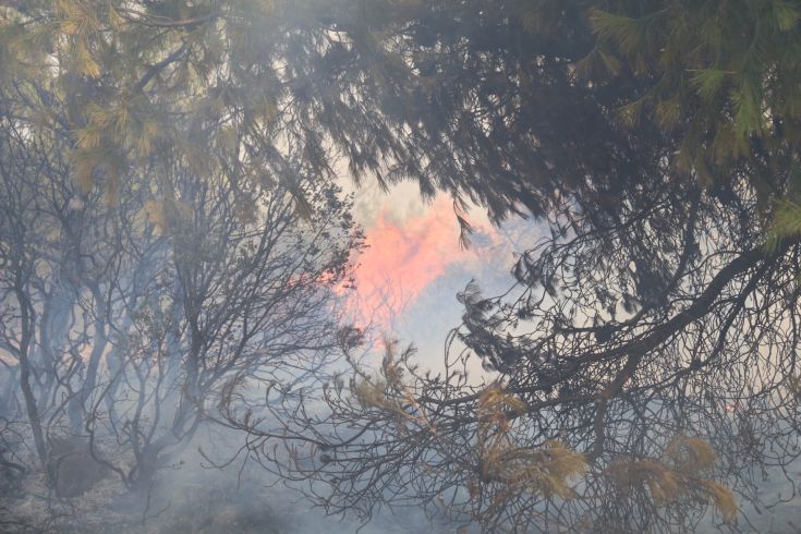 Συνεχίζεται η μάχη με τις φλόγες στην Ηλεία, βελτιωμένες οι καιρικές συνθήκες