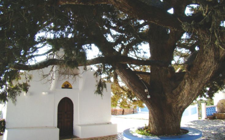 Έκλεψαν τα τάματα στο μοναστήρι του Αϊ Γιάννη στη Χάλκη