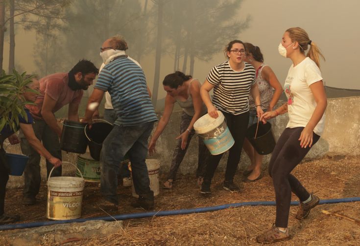 AP_17228796998081(1)