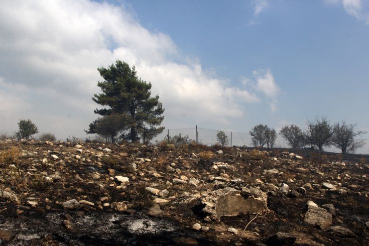 Πυροσβεστική δύναμη για την Ελλάδα ετοίμασε η Κύπρος