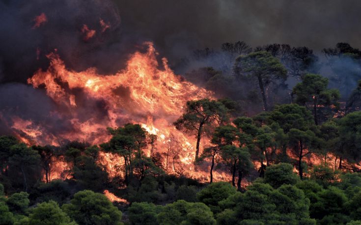 Σε εξέλιξη η φωτιά στην περιοχή Σοφικού Κορινθίας