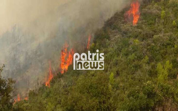 Μεγάλη πυρκαγιά στα Διάσελλα Ηλείας