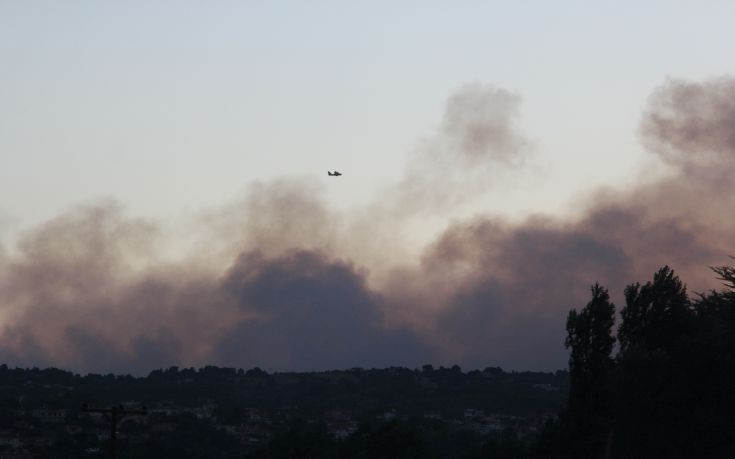 ΚΑΛΑΜΟΣ ΦΩΤΙΑ ΚΑΛΑΜΟΣ ΦΩΤΙΑ
