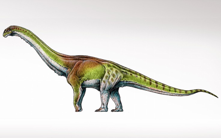 Το μεγαλύτερο ζώο του πλανήτη ήταν ο δεινόσαυρος Παταγοτιτάν