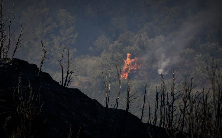 Πέντε πυρκαγιές ξέσπασαν σχεδόν ταυτόχρονα στην Κεφαλονιά