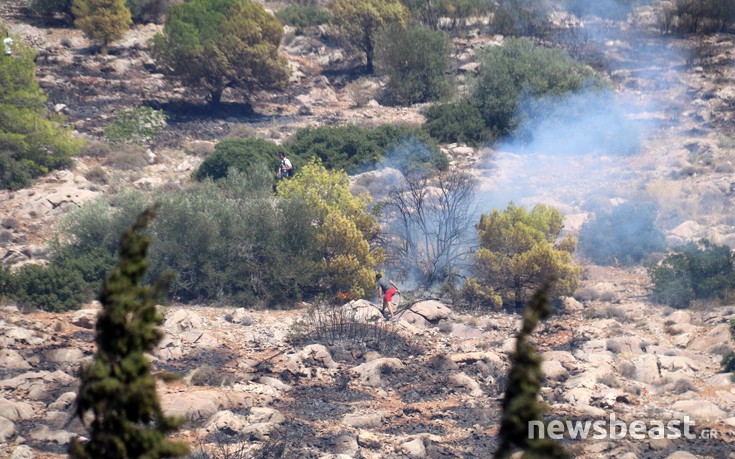 ffritkesr11 ffritkesr11