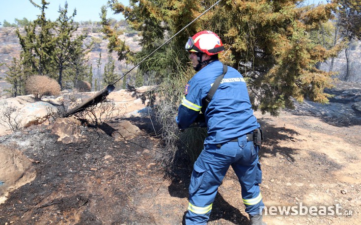 ffritkesr12 ffritkesr12