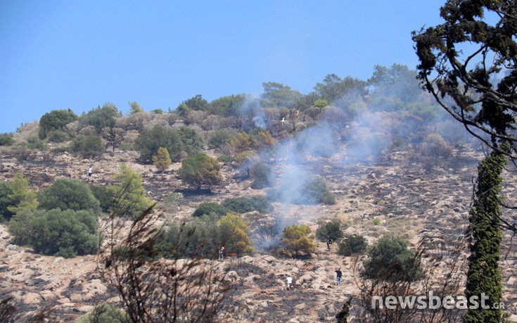 ffritkesr13 ffritkesr13