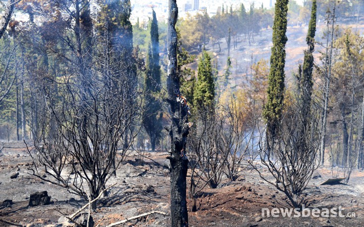 ffritkesr14 ffritkesr14