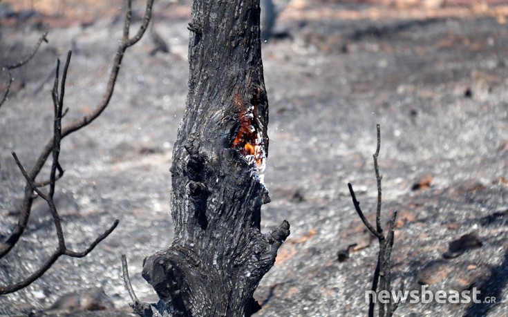 ffritkesr15 ffritkesr15