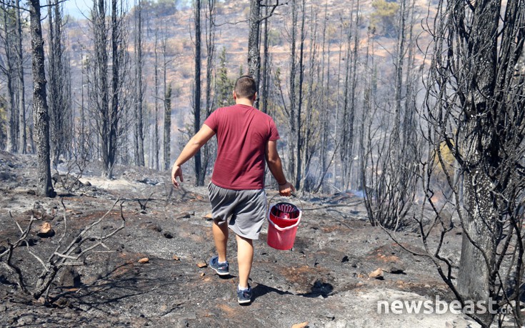 ffritkesr2 ffritkesr2