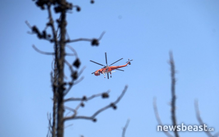 ffritkesr4 ffritkesr4