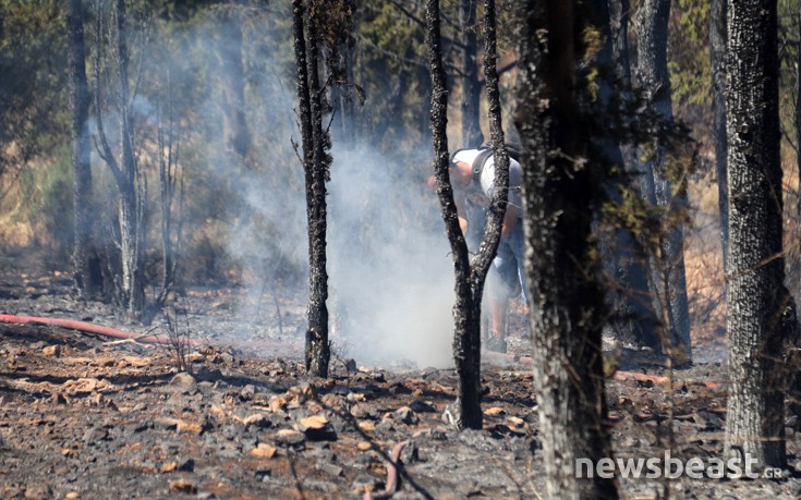 ffritkesr5 ffritkesr5