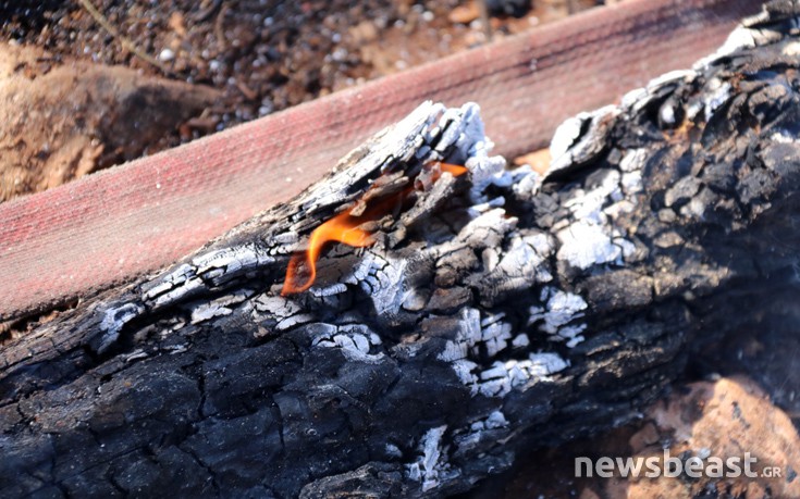 ffritkesr7 ffritkesr7