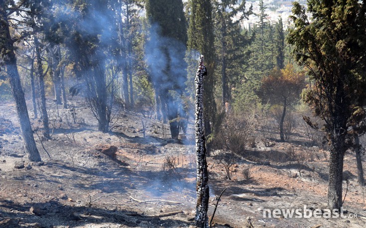 ffritkesr8 ffritkesr8