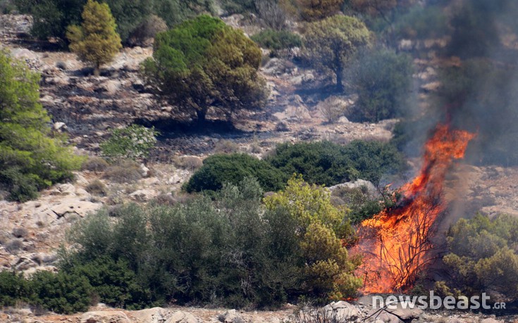 ffritkesr9 ffritkesr9