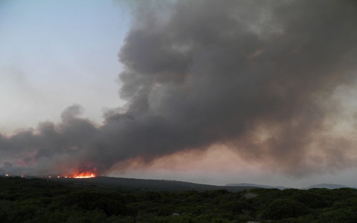 Το τελευταίο 24ωρο εκδηλώθηκαν 49 δασικές πυρκαγιές
