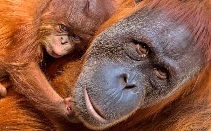 ftvthwkap3 ftvthwkap3