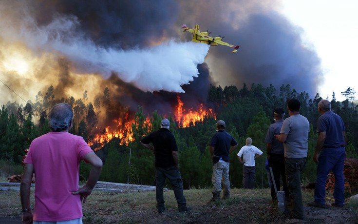 ftvthwkap6 ftvthwkap6