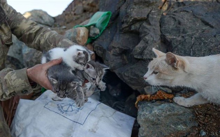 glrktnstr1 glrktnstr1