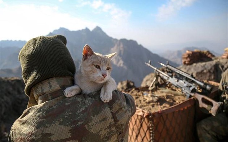 glrktnstr2 glrktnstr2