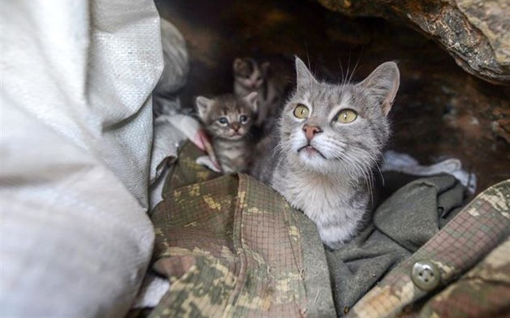 glrktnstr3 glrktnstr3