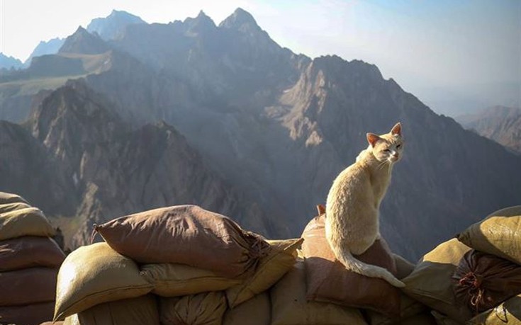 glrktnstr4 glrktnstr4