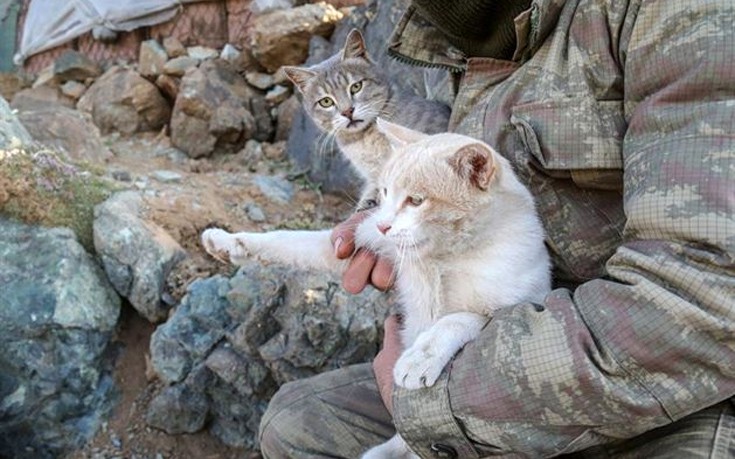 glrktnstr5 glrktnstr5