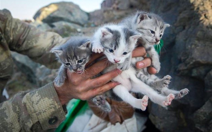 glrktnstr6 glrktnstr6