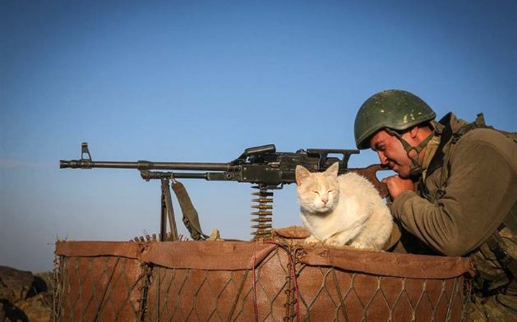 glrktnstr7 glrktnstr7