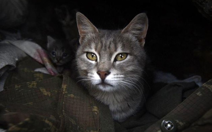 glrktnstr8 glrktnstr8