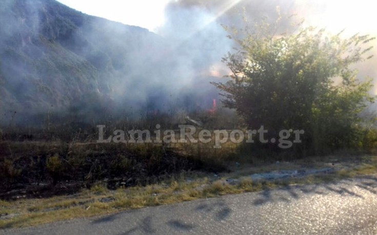 kamnnnvou3 kamnnnvou3