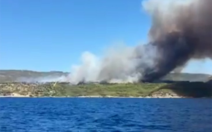 kisdfusfy2 kisdfusfy2