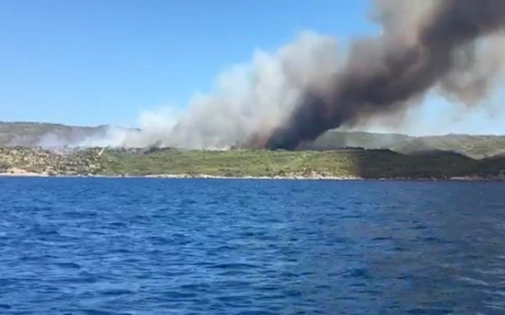 kisdfusfy3 kisdfusfy3