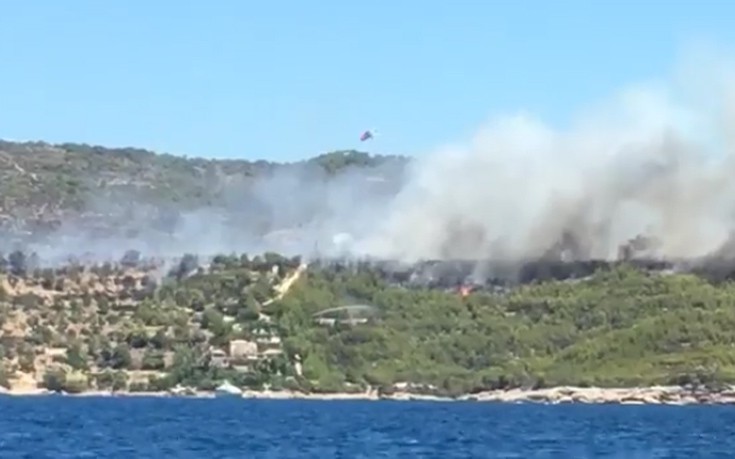 kisdfusfy4 kisdfusfy4