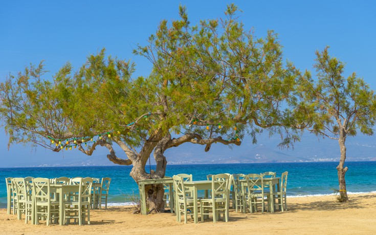 Τα μυστικά για να μην παχαίνουμε όταν τρώμε σε ταβέρνα