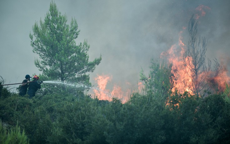 Πυρκαγιά σε δασική έκταση στην Ασωπία Βοιωτίας