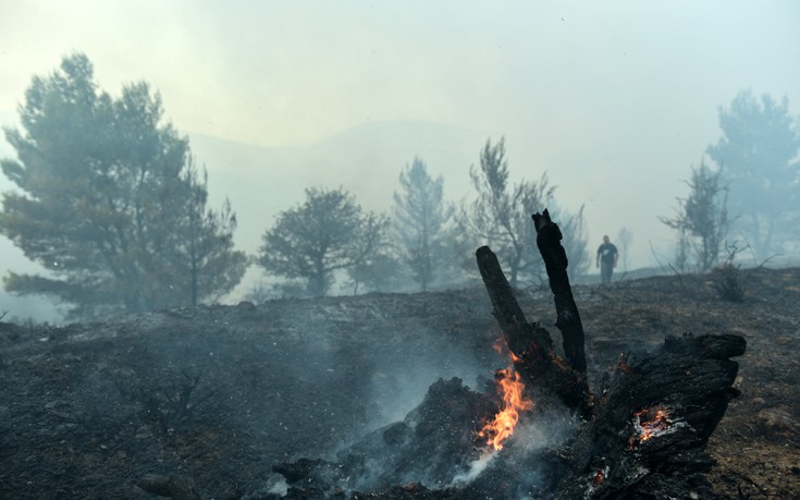 Σύλληψη για την πυρκαγιά στη Σαλαμίνα