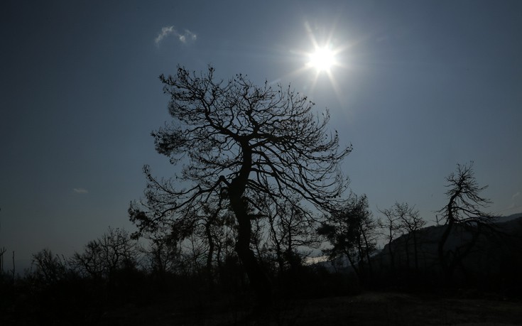 Χωρίς ενεργά μέτωπα η καταστροφική πυρκαγιά στην Αττική