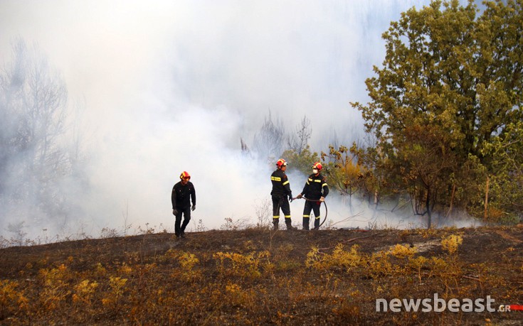 prrkgmetx28 prrkgmetx28