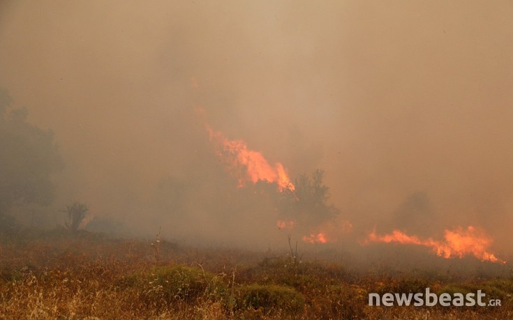 prrkgmetx29 prrkgmetx29