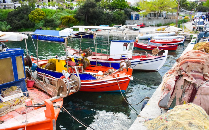 ΤΡΙΚΕΡΙ ΤΡΙΚΕΡΙ