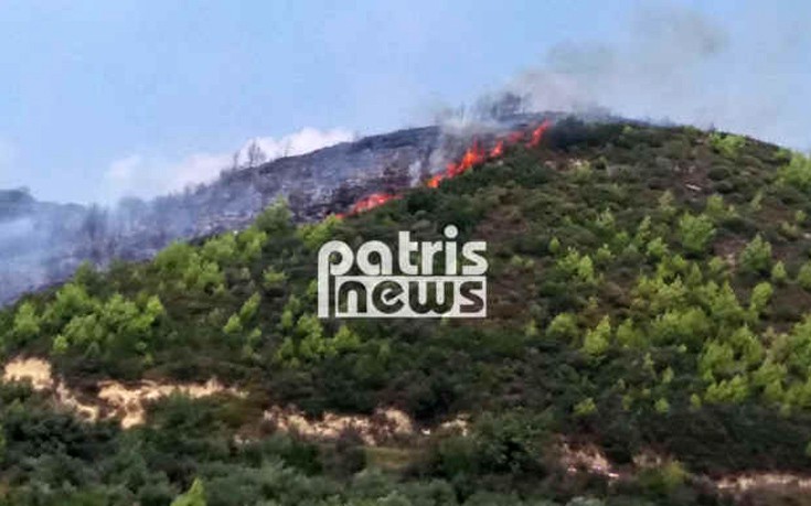 Απεγκλωβίστηκε ηλικιωμένη από το σπίτι της που είναι κοντά στην πυρκαγιά στην Ηλεία