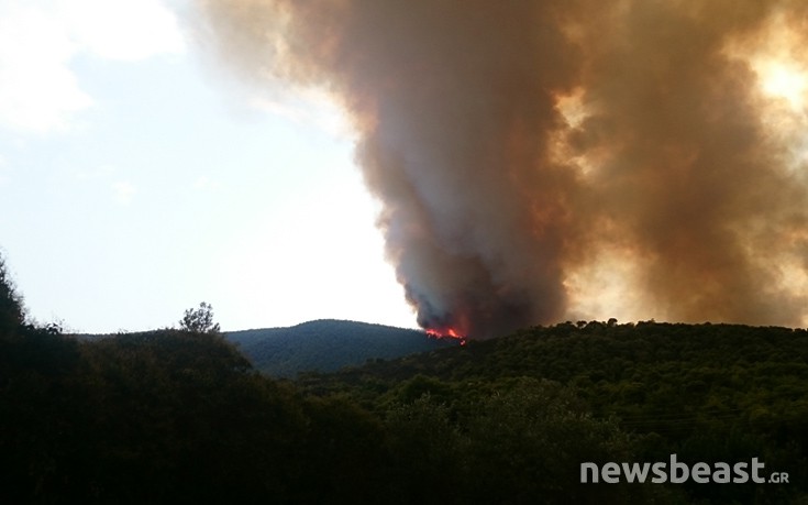 Περιορίστηκε η ένταση της πυρκαγιάς στο Ρυτό Κορινθίας