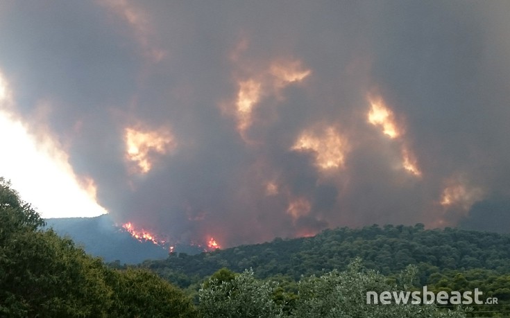 Φωτογραφίες από την πυρκαγιά στην περιοχή Ρυτό Κορινθίας