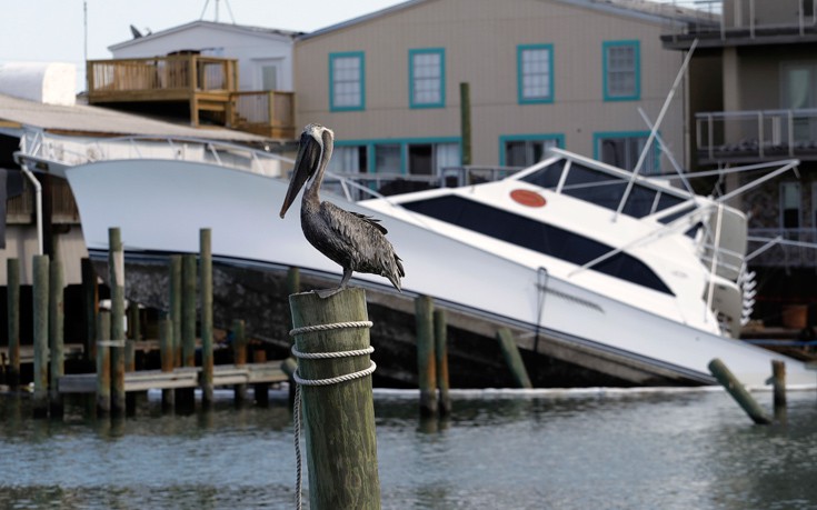 ΤΥΦΩΝΑΣ ΧΑΡΒΕΙ ΤΕΞΑΣ