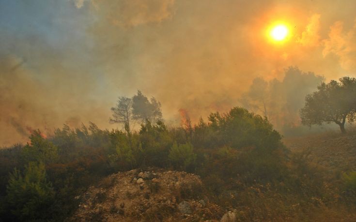 Σε ύφεση η πυρκαγιά στην Λιθακιά Ζακύνθου