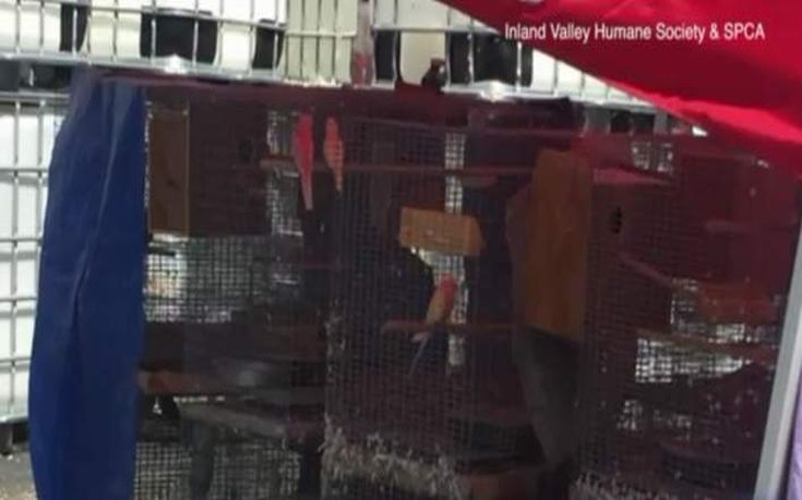 Διέσωσαν 2.000 ζώα που ζούσαν σε άθλιες συνθήκες σε βιομηχανική αποθήκη